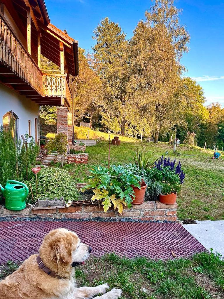 Sunhill Appartments, Klimatisiert Winhoring Dış mekan fotoğraf
